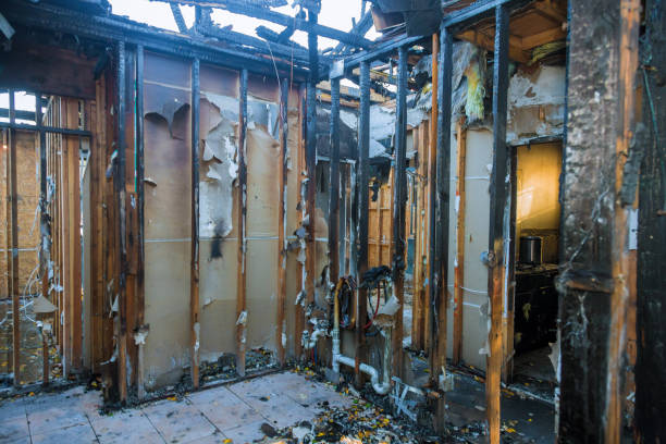 Professional Fire Damage Removal technician working in Philo, IL